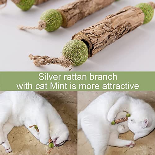 4 Piezas Palitos de Catnip para Gatos,Palitos de Hierba Gatera,Masticar Palos Gato,Protección del Cuidado Dental,Adecuado Juguete para Gatos de Interior (4 Piezas)
