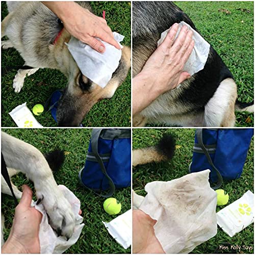 40 toallitas con clorexidina para el aseo de perros y gatos, toallitas limpiadoras higienizantes y desodorantes para la limpieza del pelo