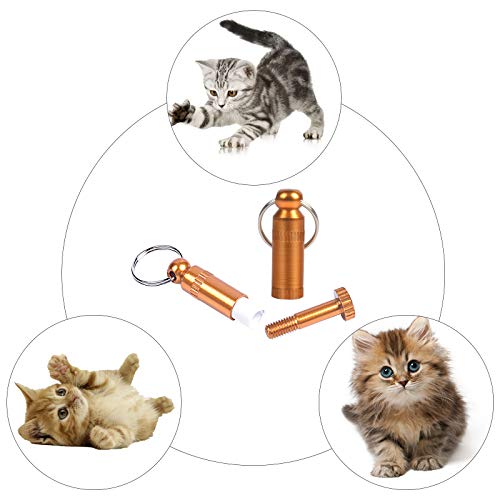 5 Piezas Etiquetas de Identificación de Mascotas Anti-Perdido de Identificación Acero Inoxidable Colgante Tag ID Nombre Colgante