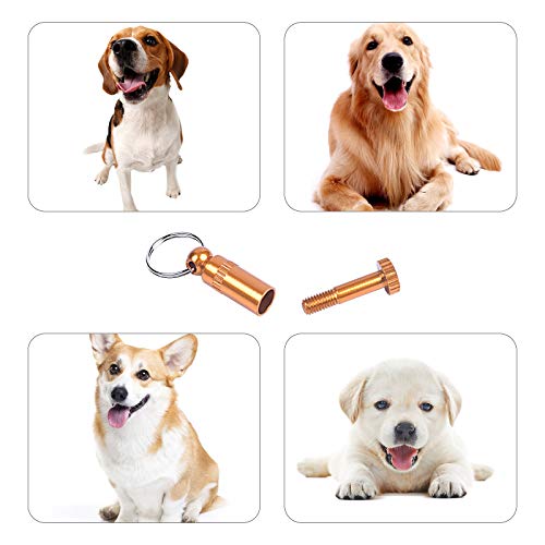 5 Piezas Etiquetas de Identificación de Mascotas Anti-Perdido de Identificación Acero Inoxidable Colgante Tag ID Nombre Colgante