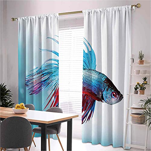 Acuario Ahorro de energía y reducción de ruido, Siamés Lucha Betta Fish Natación en Acuario Agresivo Mar Animal, Para dormitorio, jardín de infantes, sala de estar W42 x L63 Pulgadas Azul Cielo Coral