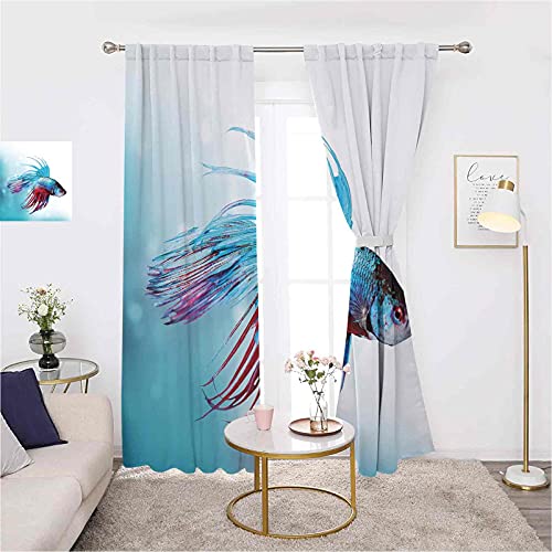 Acuario Ahorro de energía y reducción de ruido, Siamés Lucha Betta Fish Natación en Acuario Agresivo Mar Animal, Para dormitorio, jardín de infantes, sala de estar W42 x L63 Pulgadas Azul Cielo Coral