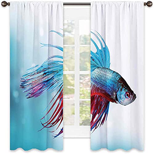 Acuario Ahorro de energía y reducción de ruido, Siamés Lucha Betta Fish Natación en Acuario Agresivo Mar Animal, Para dormitorio, jardín de infantes, sala de estar W42 x L63 Pulgadas Azul Cielo Coral