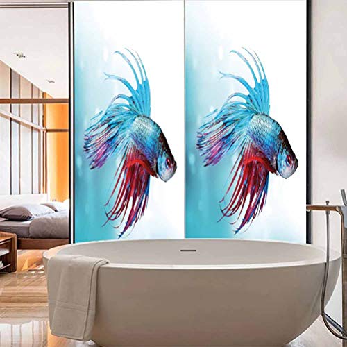 Adhesivo de vidrio anti ultravioleta para acuario, acuario siamés lucha Betta peces nadando en Aquar, película de vidrio estática para baño, oficina, sala de reuniones y sala de estar, 23.6 x 35.4 pul