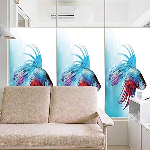 Adhesivo de vidrio anti ultravioleta para acuario, acuario siamés lucha Betta peces nadando en Aquar, película de vidrio estática para baño, oficina, sala de reuniones y sala de estar, 23.6 x 35.4 pul