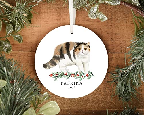 Adorno de Navidad personalizado para gatos, gatos blancos y negros, gato tigre, ornamento para mascotas, vacaciones, recuerdo de gato conmemorativo