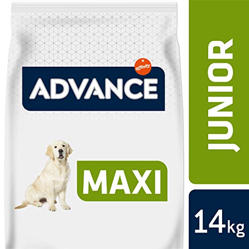 ADVANCE Adult Maxi - Pienso Para Perros Junior De Razas Grandes Con Pollo- 14 kg