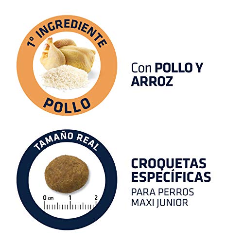 ADVANCE Adult Maxi - Pienso Para Perros Junior De Razas Grandes Con Pollo- 14 kg