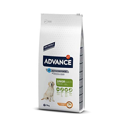 ADVANCE Adult Maxi - Pienso Para Perros Junior De Razas Grandes Con Pollo- 14 kg