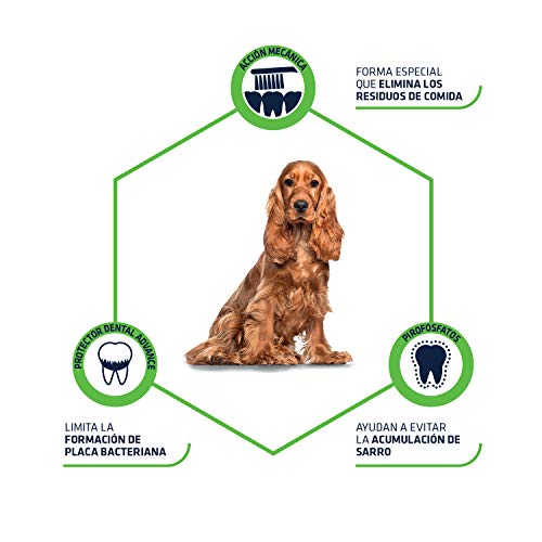 Advance Advance Snacks Dental Care Stick para Perro - 720 gr - pack 28 días