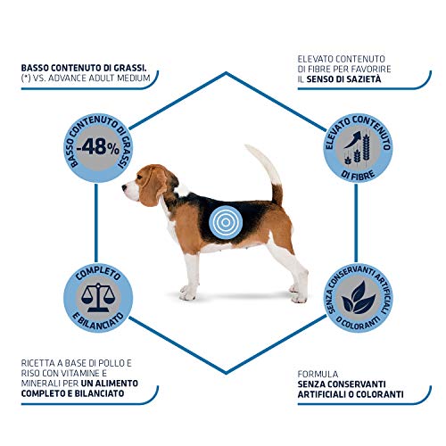 Advance Light Adult Medium - Pienso Light para Perros Adultos De Razas Medianas con Pollo - 3 Kg x 3