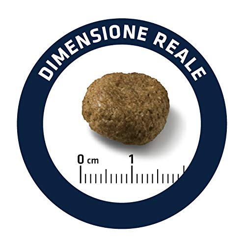 Advance Mini Senior - Pienso para Perros Senior De Razas Pequeñas - 7.5 Kg 7500 g