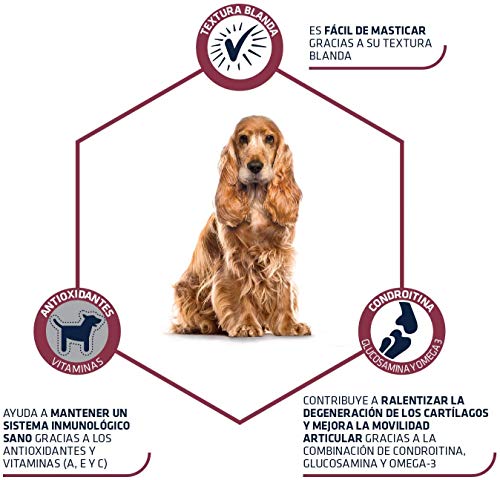 Advance Snacks Senior +7 años Snack para Perro - Paquete de 7 x 150 gr - Total 1050 gr