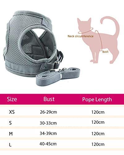 AEITPET Arnes Gato, Arnes para Gatos, Correa arnés arnes Gato pequeño Cuerda Chaleco Ajustable Respirante Arnés para Gatos y Correa Chaleco Suave y Transpirable para Mascotas pequeñas (M, Gris)