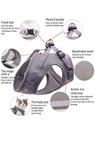 AEITPET Arnes Gato, Arnes para Gatos, Correa arnés arnes Gato pequeño Cuerda Chaleco Ajustable Respirante Arnés para Gatos y Correa Chaleco Suave y Transpirable para Mascotas pequeñas (M, Gris)