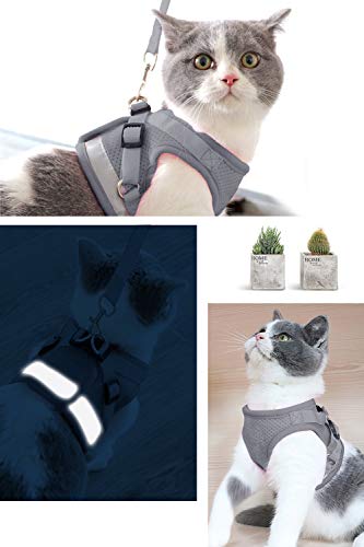 AEITPET Arnes Gato, Arnes para Gatos, Correa arnés arnes Gato pequeño Cuerda Chaleco Ajustable Respirante Arnés para Gatos y Correa Chaleco Suave y Transpirable para Mascotas pequeñas (M, Gris)