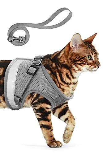 AEITPET Arnes Gato, Arnes para Gatos, Correa arnés arnes Gato pequeño Cuerda Chaleco Ajustable Respirante Arnés para Gatos y Correa Chaleco Suave y Transpirable para Mascotas pequeñas (M, Gris)