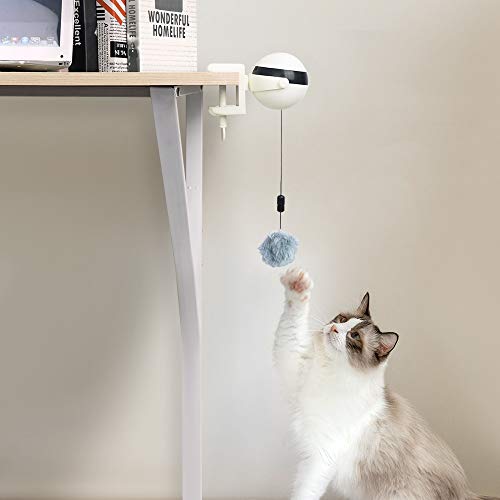 aimeyapets Juguete eléctrico del gato, juguete de elevación automática de la bola del gato, juguete inteligente educativo interactivo de la pluma de la bola del gato del animal doméstico