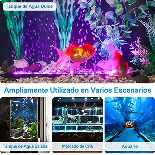 AKKEE Luz Acuario, LED Acuario, Luz RGB Brillo Ajustable Acuario Luz Acuario Marino Luz LED Acuario Marino Luz Sumergible Acuario Luz para Acuario de Agua Dulce y Salada 12V 32CM RGB