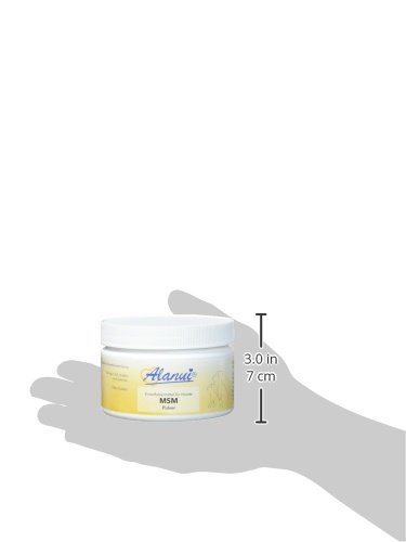 Alanui MSM metilsulfonilmetano - 1 Unidad (1 x 100 g)