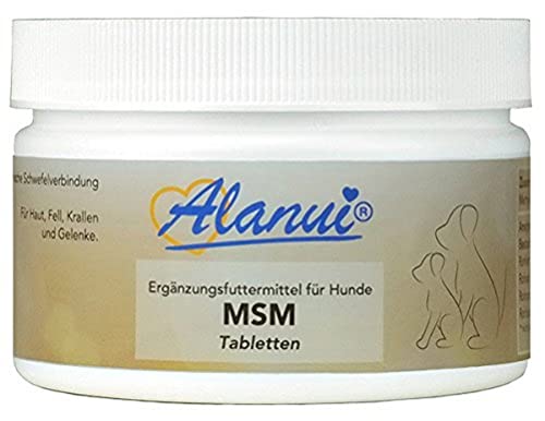 Alanui MSM - Pastillas de metilsulfonilmetano (1 x 150 g)