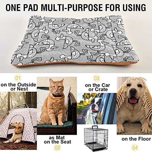 Alfombra de cama de patos negros con patas de boca y patas de perro y gato, cojín de cajón suave para mascotas pequeñas y medianas, antideslizante, lavable y seco, 36 x 24 pulgadas