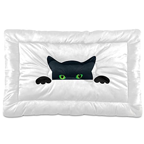 Alfombrilla de cama de gato negro con ojos verdes y ojos en blanco para perros y gatos, cojín suave para colchón para mascotas pequeñas y medianas, antideslizante, lavable y seco de 24 x 18 pulgadas