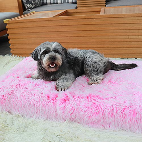 Alfombrilla para Mascotas, Alfombrilla Suave Antideslizante, Cojín Cuadrado De Felpa Extraíble, Lavable A Máquina, para Cama De Perro, Cojín De Gato (S,Gray)