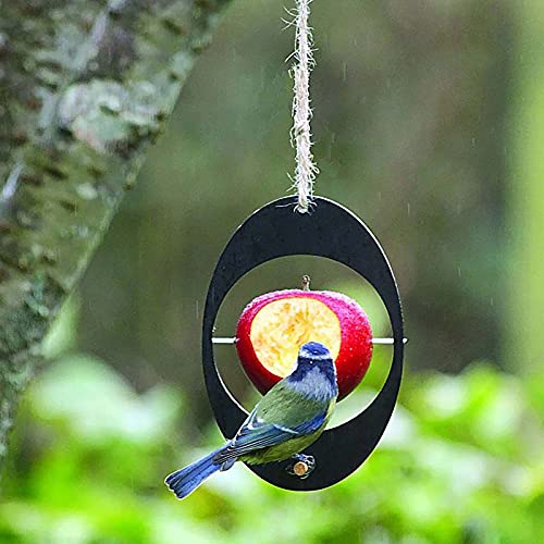 Alimentador De Aves Silvestres,Colgando Oropéndola Alimentador De Frutas,Comedero para Pájaros,Oval Colibrí Swing para Observación De Aves Decoración De Jardín-Negro 15x10cm(6x4inch)