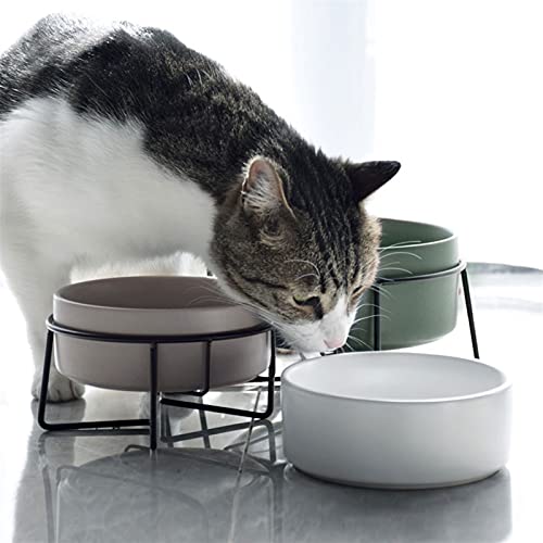Alimentador divertido Cuencos dobles for perros de gato,cuencos elevados for perros,tazón de perro,for perros pequeños,perros de cerámica,gatos,stand,13.50 oz Comedero para perros comedero lento para