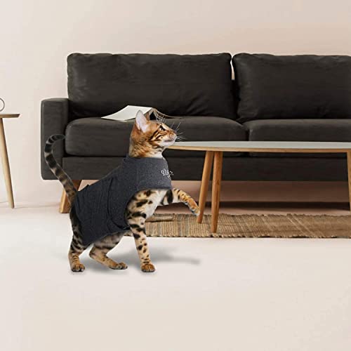 ALL FOR PAWS Chaqueta de ansiedad ajustable para gatos, antiansiedad con latidos cardíacos y alivio del estrés, abrigo calmante funcional para gatos y gatos