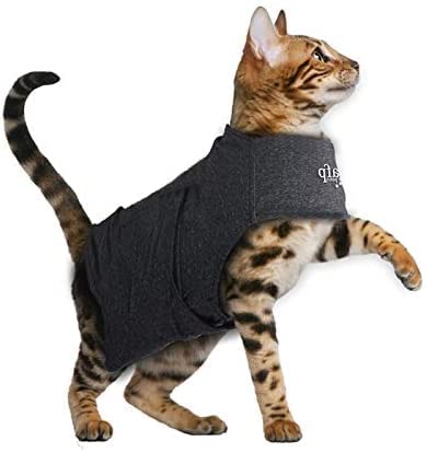 ALL FOR PAWS Chaqueta de ansiedad ajustable para gatos, antiansiedad con latidos cardíacos y alivio del estrés, abrigo calmante funcional para gatos y gatos