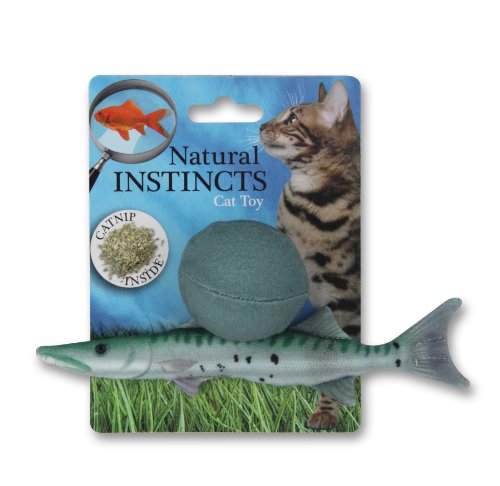 ALL FOR PAWS Pawise Juguete Rainbow Word En Forma de Pelota, 6.5 cm