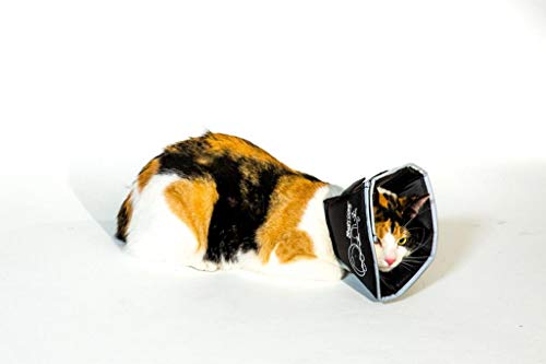All Four Paws - Collarín de recuperación para Mascotas The Comfy Cone