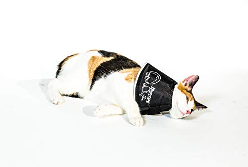 All Four Paws - Collarín de recuperación para Mascotas The Comfy Cone
