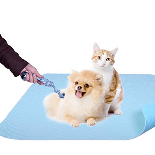 Almohadillas de pee lavables para perros, alfombrilla de entrenamiento para cachorros super absorbente con paquete de 2 almohadillas de perro para masticar de algodón secado rápido, lavables a máquina