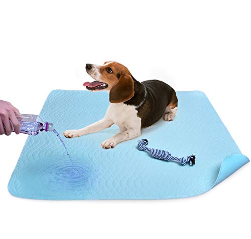 Almohadillas de pee lavables para perros, alfombrilla de entrenamiento para cachorros super absorbente con paquete de 2 almohadillas de perro para masticar de algodón secado rápido, lavables a máquina