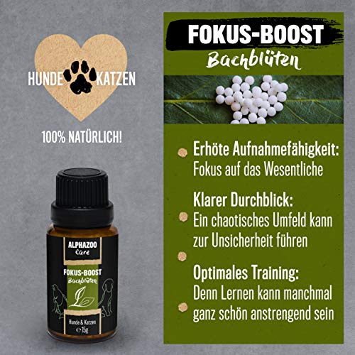 alphazoo Enfoque Boost flores de Bach para perros y gatos, 15 g, Globuli para mejorar la preparación del aprendizaje y la pureza, concentración natural para el entrenamiento, mezcla de flores