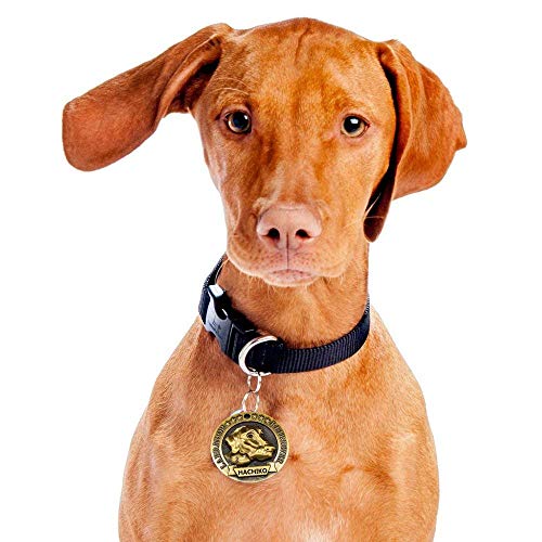 Amakunft Etiquetas de identificación de perro personalizadas, Etiquetas de identificación personalizadas, Etiquetas de perro grabadas clásicas de aleación de cobre