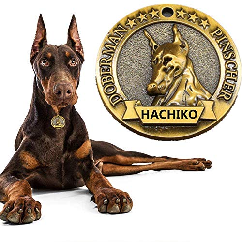 Amakunft Etiquetas de identificación de perro personalizadas, Etiquetas de identificación personalizadas, Etiquetas de perro grabadas clásicas de aleación de cobre