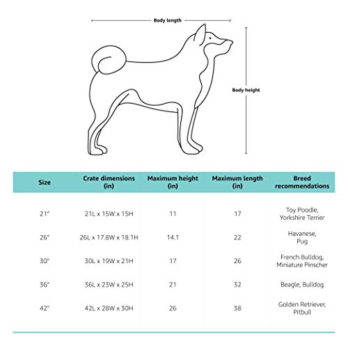 Amazon Basics – Transportín para mascotas abatible, transportable y suave de gran calidad, 66 cm, Azul