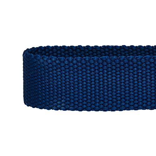 Amazon Brand - Umi Classic - Collar para Perros L, Cuello 45-66 cm, Collares Ajustables para Perros (Azul Marino)