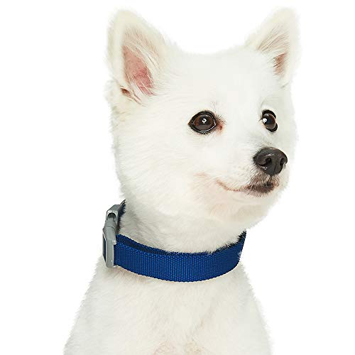 Amazon Brand - Umi Classic - Collar para Perros L, Cuello 45-66 cm, Collares Ajustables para Perros (Azul Marino)