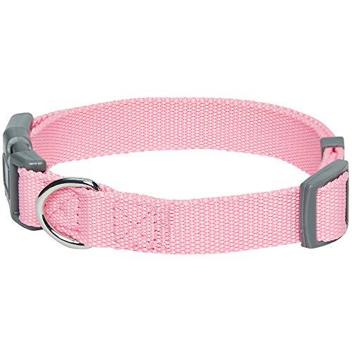 Amazon Brand - Umi Classic - Collar para Perros M, Cuello 37-50 cm, Collares Ajustables para Perros (Rosa)