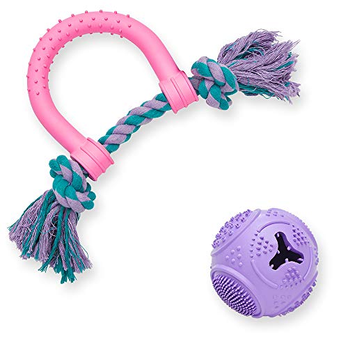 Amazon Brand - Umi - Paquete Ahorro de 2 mordedores para Perros y Cachorros: Pelota con púas y mordedor en Forma de U con Cuerda Anudada
