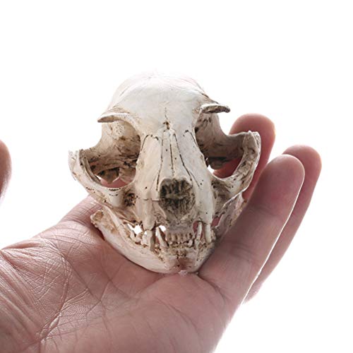Amosfun Figura decorativa de esqueleto de animales de Halloween con diseño de calavera de gato de resina, para acuario, pecera, decoración de paisaje