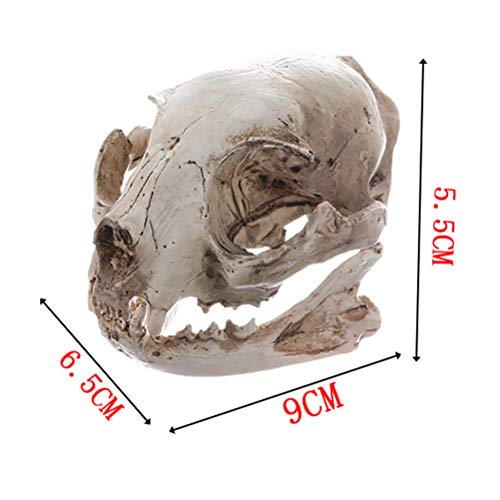 Amosfun Figura decorativa de esqueleto de animales de Halloween con diseño de calavera de gato de resina, para acuario, pecera, decoración de paisaje