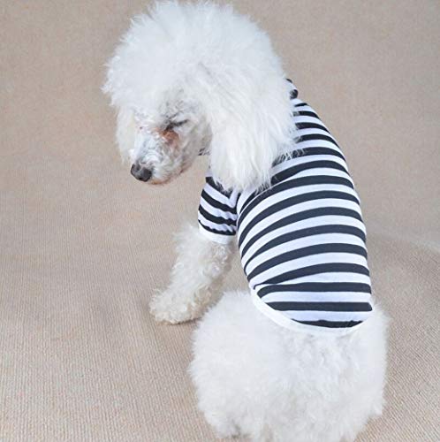 AMURAO Camisa del Perro del Animal doméstico Ropa Ligera del Verano del LED para los Perros Ropa Linda del Perrito Pequeños Trajes Medios de Las Mascotas