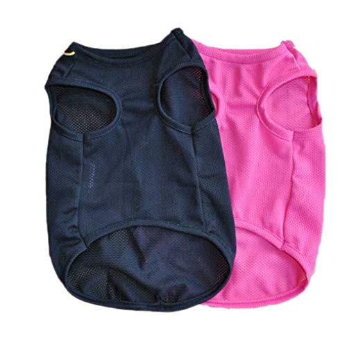 AMURAO Camisas para Perros de Verano Ropa cómoda para Mascotas Respirable Gato Chaleco Dólar Impresión de Prendas de Vestir