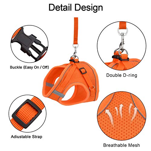 Anbeer Arnés Pecho para Gato Perro Pequeño y Correa 150cm, Ajustable con Reflectantes de Tela de Malla Suave y Transpirable (L, Naranja)